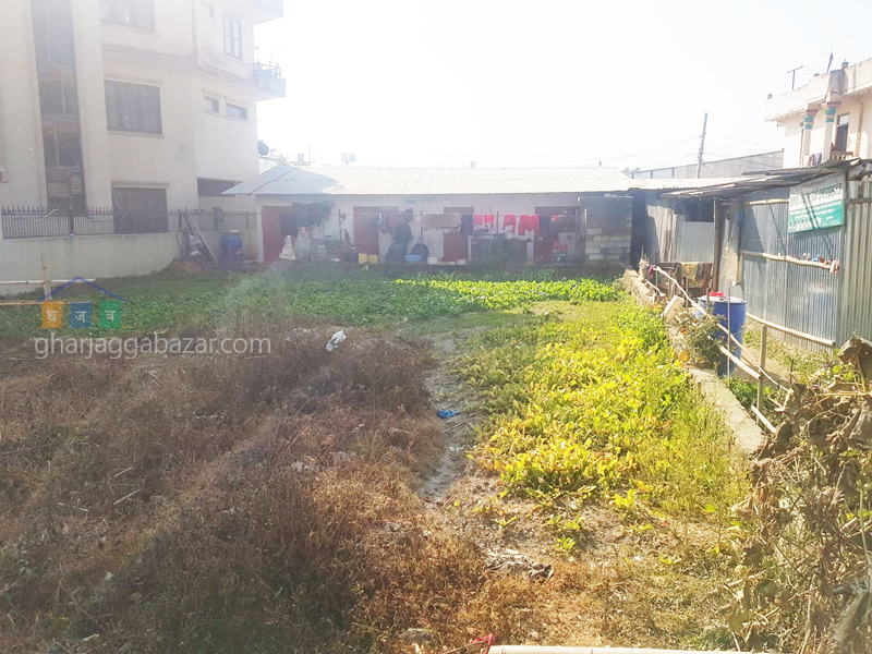 Land on Sale at Gothatar